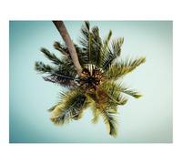 1500 Pieces Jigsaw Puzzles - Family Puzzle Game Gifts-Palm,Tree,Leaves,Bottom View,Tropic 87x57cm