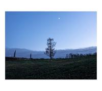 1500 Pieces Jigsaw Puzzles - Family Puzzle Game Gifts-Trees,Moon,Sky,Twilight,Landscape 87x57cm