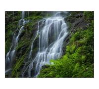 1500 Pieces Jigsaw Puzzles - Family Puzzle Game Gifts-Waterfall,Beautiful,Rocks,Fern,Moss 87x57cm