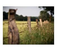 1500 Pieces Jigsaw Puzzles - Family Puzzle Game Gifts-Wire,Protection,Stakes,Grass,Ears,Border,Degradation 87x57cm