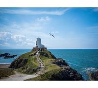 1500 Pieces Jigsaw Puzzles for Adults Difficult Hard Jigsaw Puzzles for Women Men - Lighthouse tower rock 87x57cm