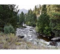 1500 Pieces Jigsaw Puzzles for Adults Jigsaw Puzzles for Adults Challenging Game - River trees landscape 87x57cm
