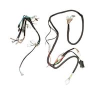 150CC Scooter Moped Wire Harness Wiring Assembly 11 Pole 8 Poles Magneto Compatible With Motorcycle Models Works With Fits For Use With Replacement For Part Number For Part Number(8 POLE)