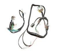 150CC Scooter Moped Wire Harness Wiring Assembly 11 Pole 8 Poles Magneto Compatible With Motorcycle Models Works With Fits For Use With Replacement For Part Number For Part Number(11 POLE)