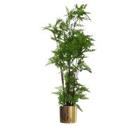 Artificial Natural Extra Large Fern Foliage Plant Gold Metal Planter - Green