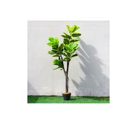 150cm Artificial Triple-Trunk Ficus Elastica with Yellow-Edged Leaves Living and Home Green One Size