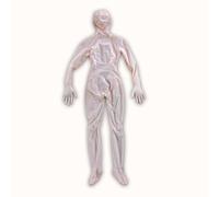 150cm Human-Shaped Body Pillow with Soft Fabric, DIY Girlfriend Doll for Women,No filling, Full Size Hugging Pillow for Stress Relief,Only Cover,B CUP