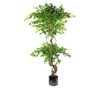150cm Twisted Trunk Artificial Japanese Fruticosa Ficus Tree Rainbow Planter