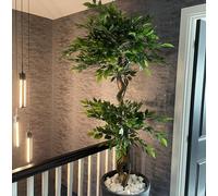 Leaf 150Cm Twisted Trunk Artificial Japanese Fruticosa Style Ficus Tree, Green