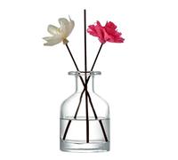 150ml/5oz Refillable Glass Diffuser Bottle Aromatherapy Jar Container Fragrance Accessories Use for DIY Replacement Reed Diffuser Sticks Sets Essential Oils Crafts Decor(Clear)