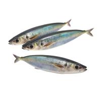 150mm Fishing Lures Soft Baits Artificial 3D Printed Swimbait Fishing Crankbait Floating Lures for Sea Angling Floating Soft