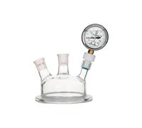 150mm Multi Neck Glass Reactor Lid 24/29 Pressure Gauge-#2