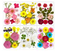 150Pcs Dried Pressed Flowers for Resin Crafts, Real Nature Dry Flowers