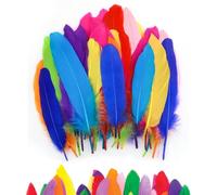 150Pcs Feathers, Feathers for Crafting, Craft Feathers, Coloured Feathers, Colorful Craft Feather in Bright Colors, Feathers for Hats, Party DIY Art Crafting Gift Box Filling Decoration(9-15cm)
