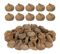 150pcs Natural Dried Acorn Caps for Crafting 1-2.5cm Winter Decor
