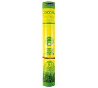 151 Chatsworth Citronella Incense Sticks