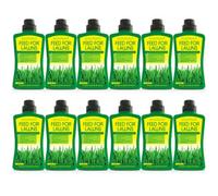 151 Eazifeed Feed For Lawns 500Ml - Pack Of 12