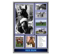 (155) Red Rum Horse Racing Legend Signed A4 Photograph (21 X 297 CM) Art Work Wall Art Display Great Gift Idea (REPRINT) #####