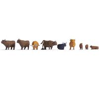 Noch HO/OO Highland Cattle (9) Figure Set