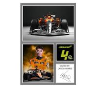 159) Lando Norris Formula 1 Legend Signed A4 Photograph (21 X 297 CM) Art Work Wall Art Display Great Gift Idea (REPRINT) ####
