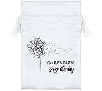 15cm 'Carpe Diem: Seize The Day' Satin Drawstring Bag/Pouch (SB00116025)