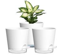 15cm Self Watering Plant Pots Indoor, 3 Pack Plastic Planters with Drainage Holes & Saucer, Ideal for All Indoor Outdoor House Plants(White With Transparent Drainage)