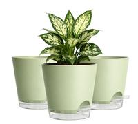 15cm Self Watering Plant Pots Indoor, 3 Pack - Side Refill Planters with Clear Water Level Reservoir & Wick System, Modern Sage Green Plastic Flower Pots with Drainage Holes & Saucer for House Plants
