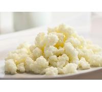 15g Organic Certified Milk Kefir Grains (UKAS Lab Tested) by Kombuchaorganic®
