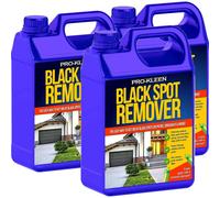 (15L) Pro-Kleen Path & Patio Black Spot Remover