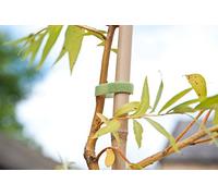 15M Plant Tie Tape Strap Reusable Hook Loop Cable Tidy Wrap Set Garden Sew