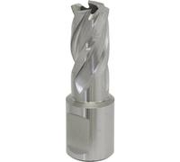 15mm X 25mm Depth Rotabor Cutter - M2 Steel Annular Metal Core Drill 19mm Shank