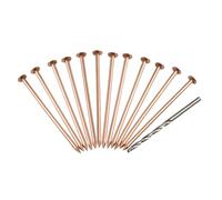 15PCS Copper Nails to Kill Tree Stump - Tree Killer Nail for Stumps and Roots, Effective Root For Killing With 4 Inch Copper Nails, Tree Killer Nail for Horticultural Projects