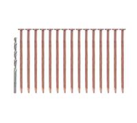 15Pcs Coppers Nails Tree Stump Killers Bulk Stump Removal Spikes Hardware Nails for Kills Trees Removing Stumps Tree Killers