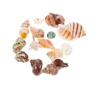 15pcs Mixed Seashells for Aquarium Decoration Beach Style Shells for Fish Tank Natural Habitat for Crabs and Fish Aesthetic Underwater Ornaments Suitable for Freshwater Saltwater