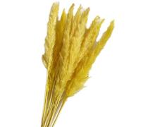 15pcs Natural Dried Reed Grass,fluffy Pampas Grass Flower,artificial Flowers In Vase, Vase Door Wreath Decor In Home &kitchen (Yellow)