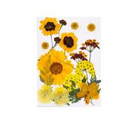 15Pcs Natural Pressed Dried Flower Leaves Set for Making Resin Art Craft Bookmarks Jewelry Crafting Scrapbooking Sealed Pressed Flowers