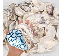 15PCS Oyster Shells 4"-5" Concave Oyster Shells for Crafts Natural Oyster Shells Bulk, for Home Vase Filler, Xmas Ornaments, DIY Arts and Crafts Sea Shells