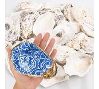 15PCS Oyster Shells 5"-6" Concave Oyster Shells for Crafts Natural Oyster Shells Bulk, for Home Vase Filler, Xmas Ornaments, DIY Arts and Crafts Sea Shells
