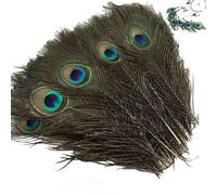 15Pcs Peacock Feathers, Peacock Feathers Long, Real Natural Peacock Eye Feathers, 10-12 Inches Peacock Tail Feather for Carnival Revelry Masquerade Costume Wedding Vase Christmas Party DIY Art & Craft