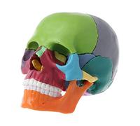 15pcs/Set 4D Disassembled Color Skull Anatomical Model Detachable Medical Teachi Die Cuts for Card Making On Words