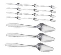 15pcs Stainless Steel Bird Parrot Feeder Spoon Milk Feeding Scoop Pet Care Tools Hand Feeding Scoop for Small Exotic Birds Peony Cockatiel