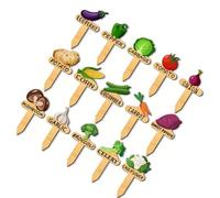 15PCS T Type Vegetable Plant Labels for Veg Identification in Pots Greenhouses Farms Vegetable Plant Markers