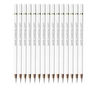 15Pcs White Charcoal Pencil, Charcoal Pencils for Artists, Drawing Pencils Sketching Pencil for Artists Beginners Students Suitable for Drawing Sketching Shading Blending Detailing