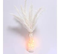 15Pcs White Natural Dried Pampas Grass for Vase with String Light, Dried Flowers for Round Vase Dried Pampas Grass Bouquet Boho Table Decor Dry Flowers for decoration Wedding, Home Vases Decor