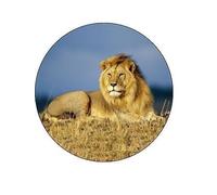 15x LION 40mm Rice Paper Cup Cake Fairy Toppers KING OF THE BEASTS MANE MAGICAL