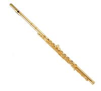16/17 Hole Closed Hole White Copper Nickel Plated C Key Student Beginner Professional Gold Plated French Flute (Color : 17 hole gold plated French flute 700)