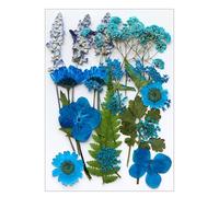 16/18/19/22Pcs Pressed Dried Flower For Resin Natural Dry Flower Leaves For Art Craft Scrapbooking Jewelry Making Card Making Accessories