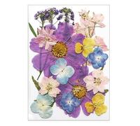 16/18/19/22Pcs Pressed Dried Flower For Resin Natural Dry Flower Leaves For Art Craft Scrapbooking Jewelry Making Card Making Accessories