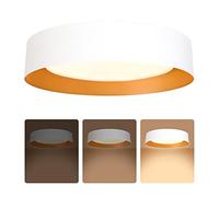16.5 inch/42cm Ceiling Light Fixture,Dimmable LED Flush Mount Ceiling Light,Matte White with Gold Inside,3000K/Warm White/30W, Light Fixture Ceiling for Closet Room,Bedroom and Hallway