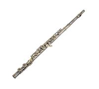 16 Closed Hole C Tone Nickel Plated Flute With Silver E Key Professional Performance(Antique Bronze)